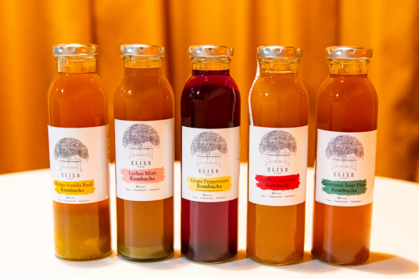 Kombucha Elixir 1a Kombucha Elixir 1a